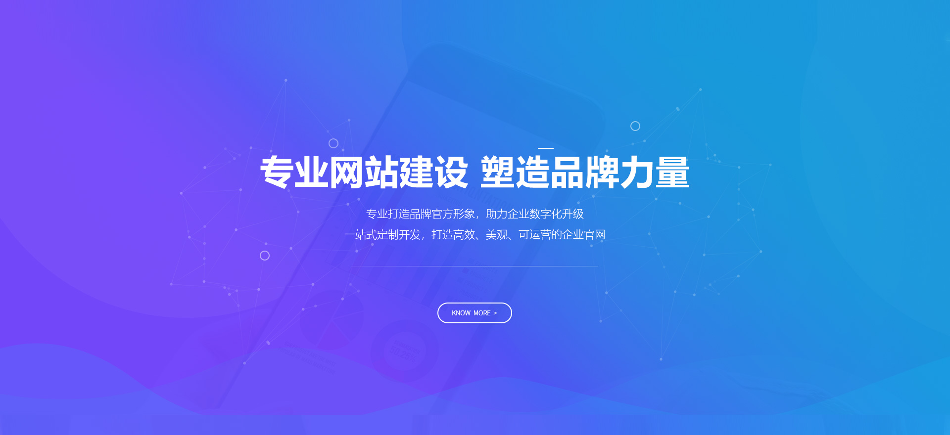 盐田建站-专业网站建设 塑造品牌力量