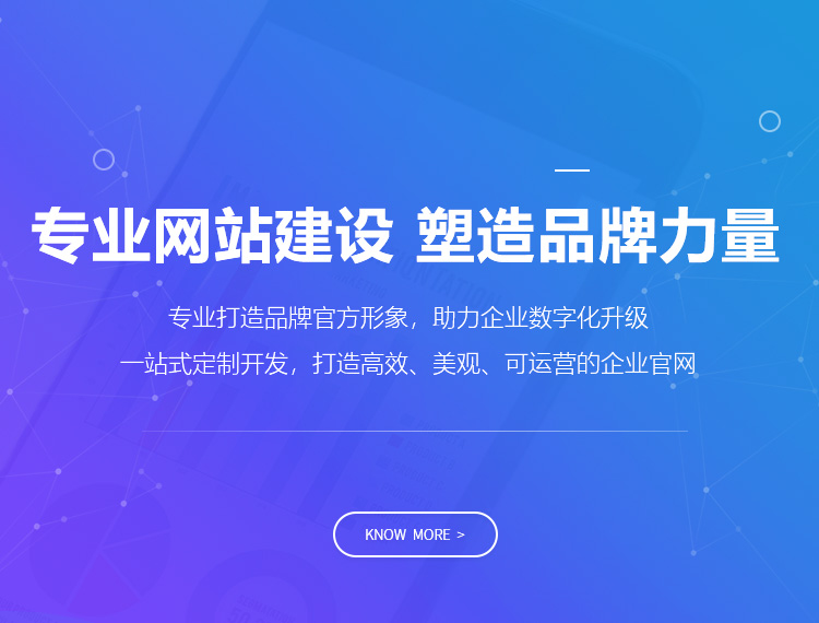 盐田建站-专业网站建设 塑造品牌力量
